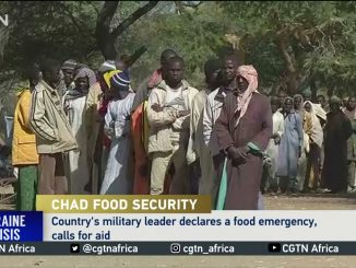 Chad declares food emergency during June 2022