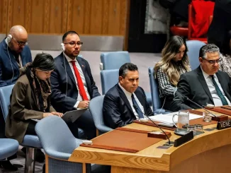 Venezuelan Ambassador to the United Nations in a Security Council meeting on December 23, 2025